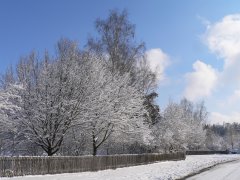 Verschneite Stra�e