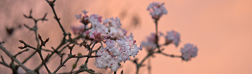 Herbst8