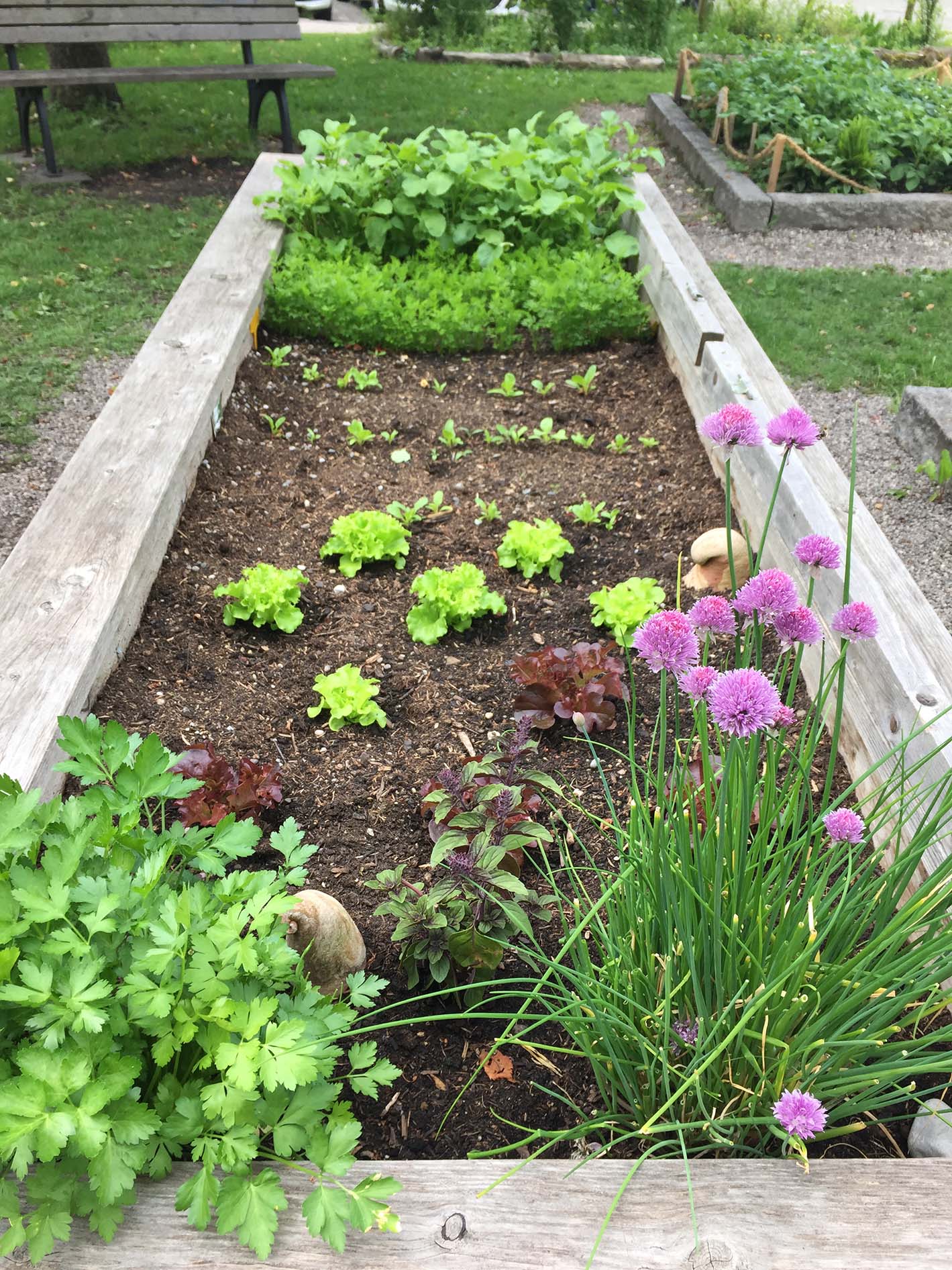 "Mehr Arten im Garten" 2022 Naturnahe und essbare Gärten im Focus
